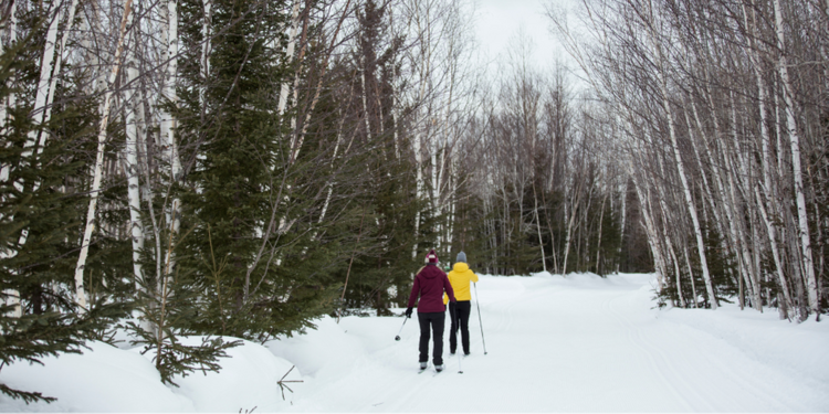 Bathurst Cross-country ski club